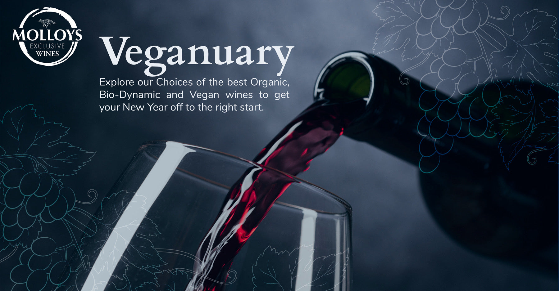 Top 10 Veganuary wines - Vegan Wines