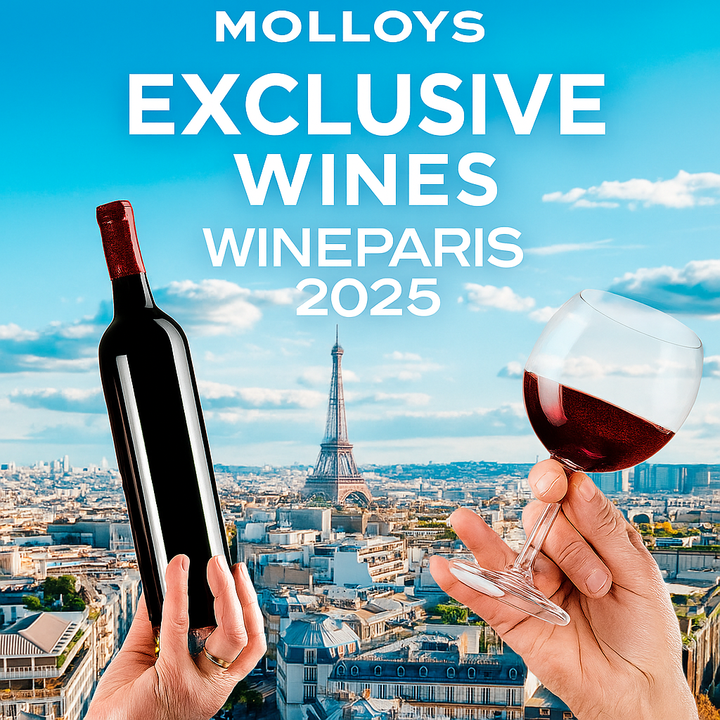 🍷 Behind the Bottle: How Molloys Sources Its Exclusive Wines in 2025