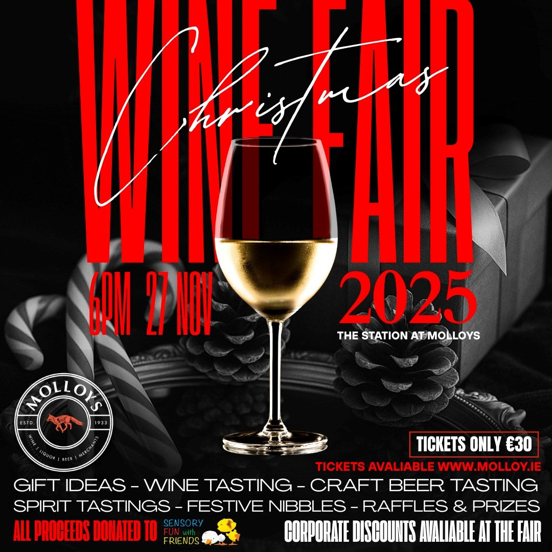 Molloys Christmas Wine Fair - In aid of Sensory Fun with Friends