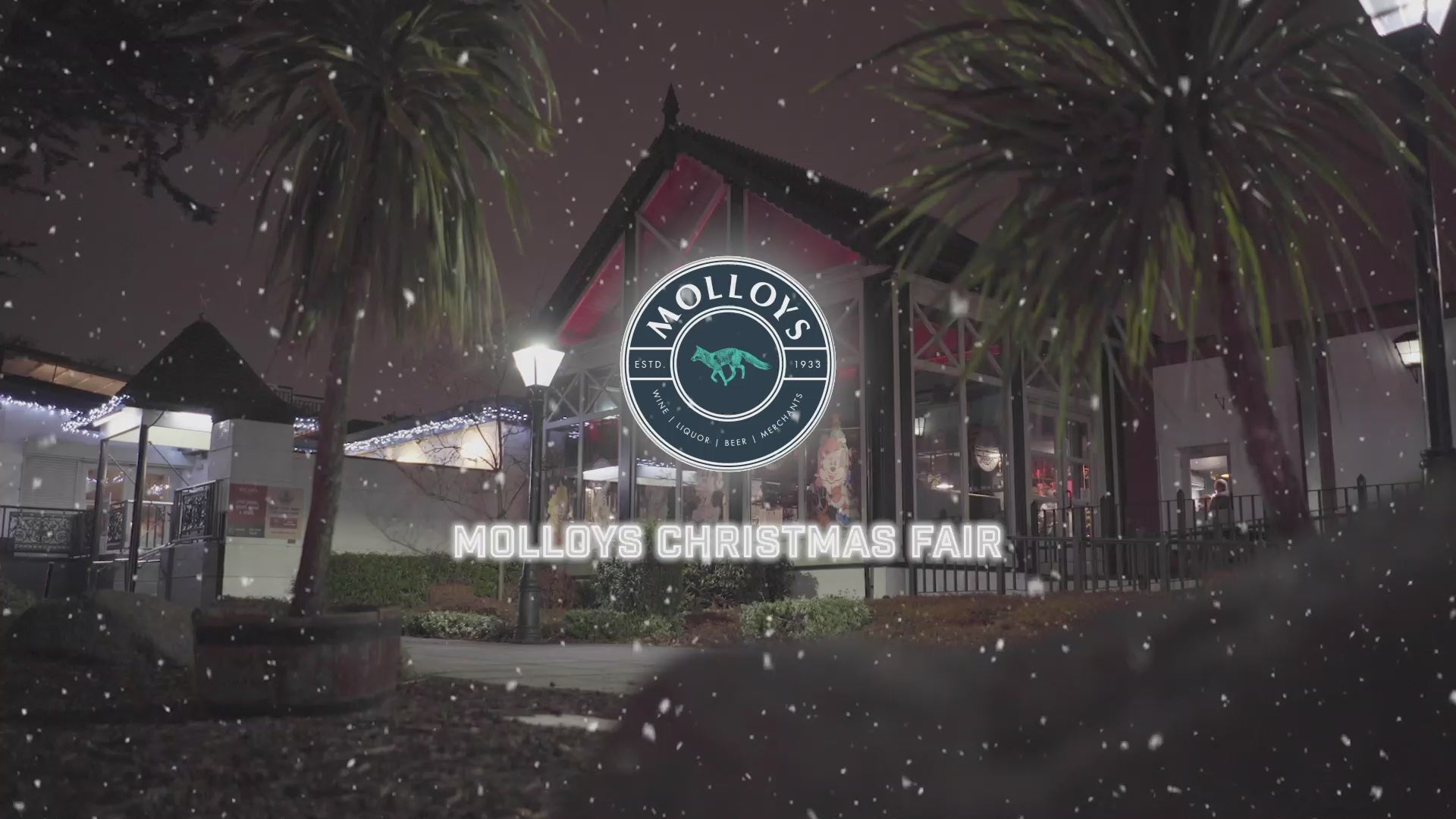 Molloys Christmas Wine Fair - In aid of Sensory Fun with Friends