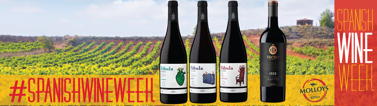 Spanish Wine Week - Absolutely Fabula!
