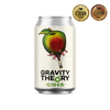 Gravity Theory Cider 33cl Can 4.5%