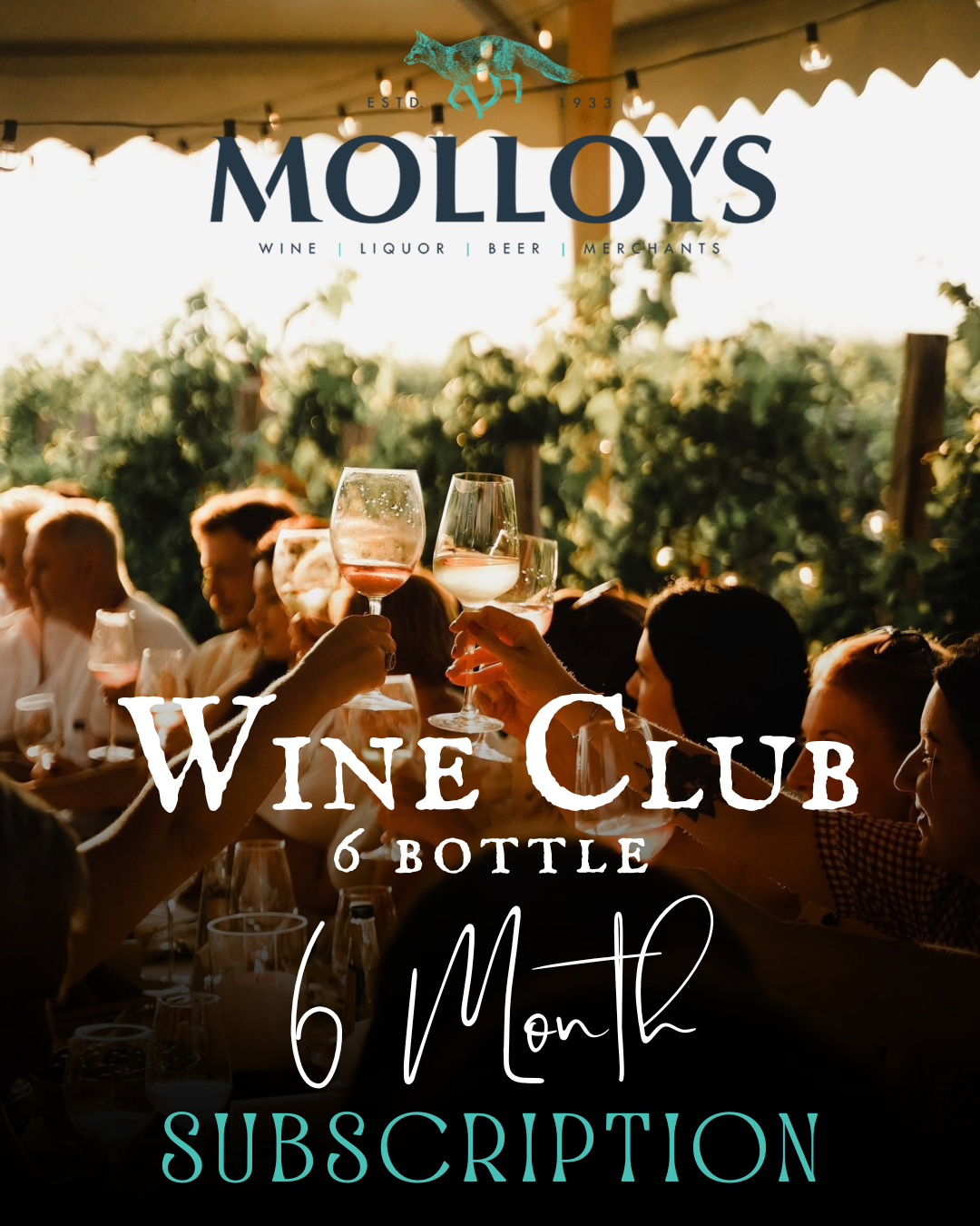 Molloys Wine Club - 6 Bottle - 6 Month Subscription