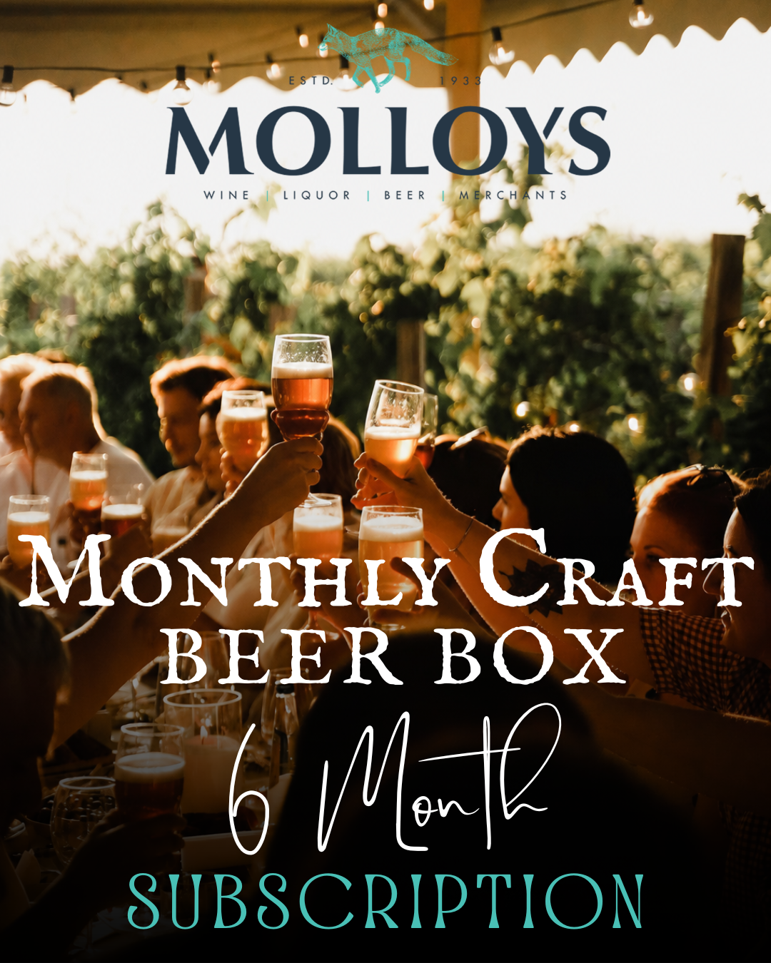 Molloys Monthly Craft Beer Club - 6 Month Subscription