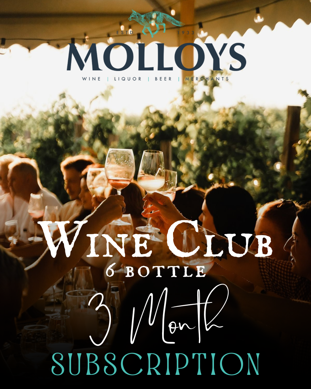 Molloys Wine Club - 6 Bottle - 3 Month Subscription