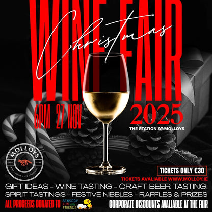 Molloys Christmas Wine Fair - In aid of Sensory Fun with Friends