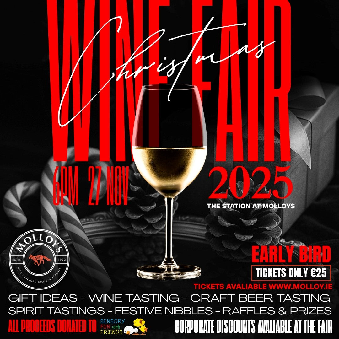 Molloys Christmas Wine Fair - In aid of Sensory Fun with Friends