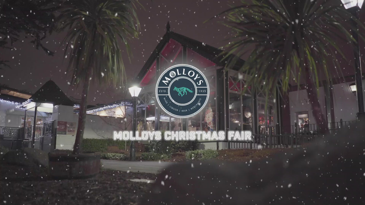 Molloys Christmas Wine Fair - In aid of Sensory Fun with Friends