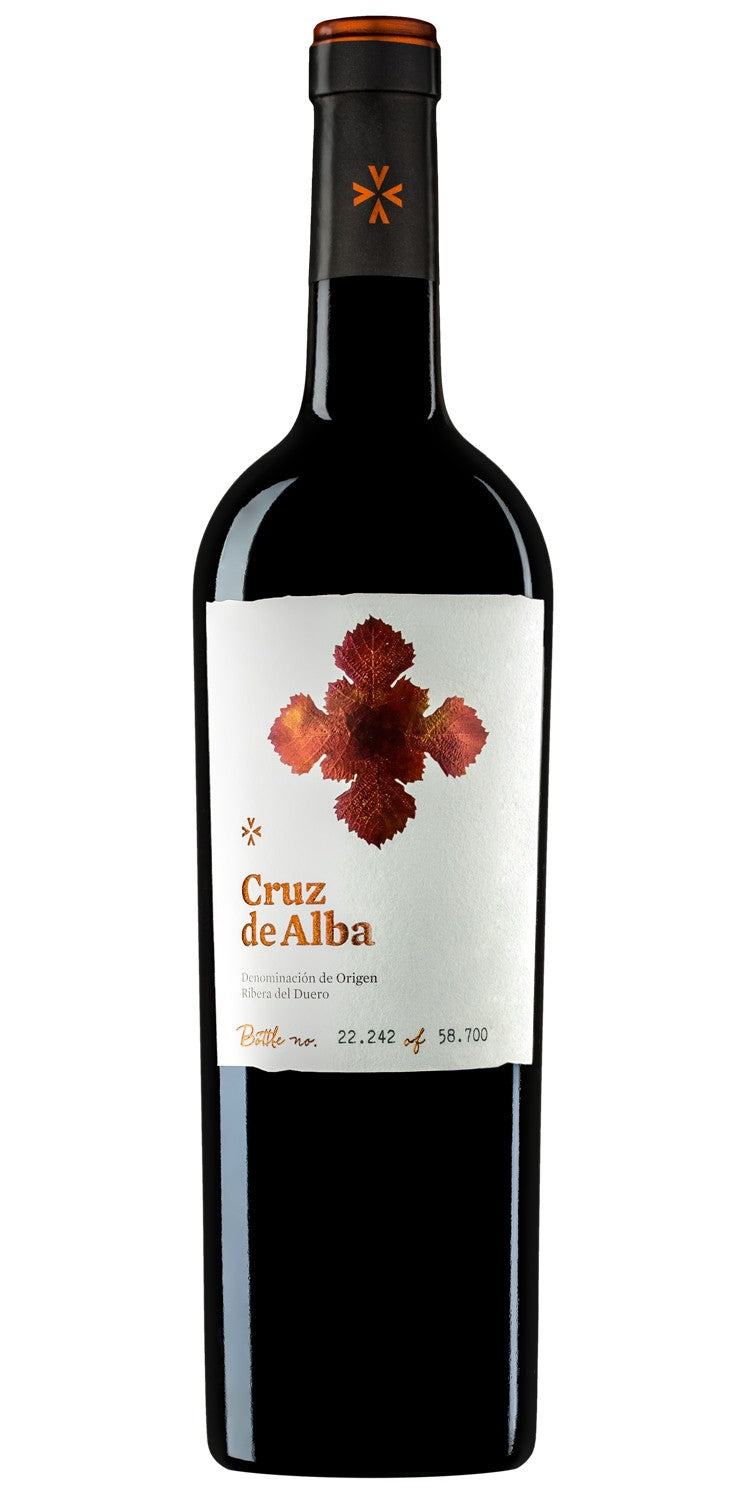 Cruz D&
